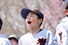 0ecb0d111538ccaadf0ef68c6e09fc28