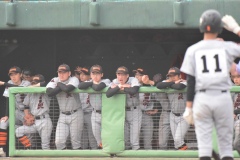 25db288146a56c4fcb452261d460f3e4