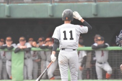 8bf1337228eecf8ea83bb195da41af70