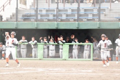 9d67e58b5e073eba01014784493ea442