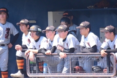 0efe78feb4dc50ccd89fe52a8a8dd0e5