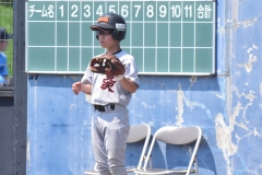 8c1be4dbb845f38103030ec01be4328a