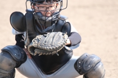 b8e28840bb2eb6dd672bbdb59fa63258