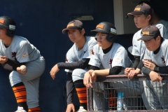 ecd6326bbd77a50f1ea262c9731eb329