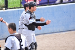 304a03479f33ad12f42d663f2154d419