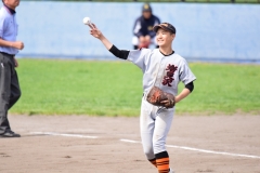 c474e23fbfab607415dc9c47d39b7984