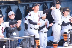 cb0c257ffc6f4c2ef0feee56a9f55fc3