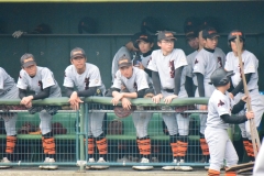 d93b96d0416f216190269993137d8162