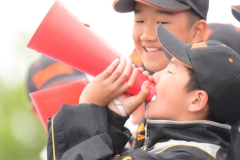 dfe728a877bd7be9780f9367d739e0d8