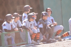 1faabd626b5fcc946abf9d17e38397e7