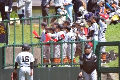 248605fb86283d81659e803005f0c17c