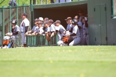 7617622e6436ccf4fb0006d267dd3980