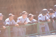 c57544380639e5b81d3852aa50ee78dc