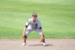 2079acdf3fe036c3c9f0948dca158e75