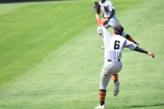 cd2477c437796d7dc3fd2e70526ea1dc