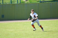 445f520db290a6f46500f6be40a6d786