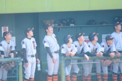 b31d16b4038ae38d8314efed248af32c