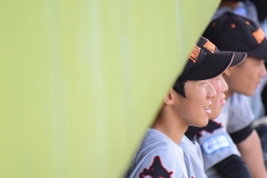 01d7f207160aa8bae3a9ec0a4c6cafce