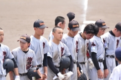 5ce9a669fe833835310301ece71c349a