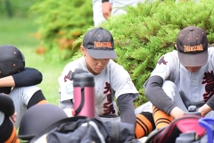 715d9150efe7e7e96509b262f44dfec2