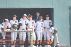 c90f0768977a55392e5b9eea667d599e