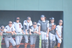 e9238d24f8151aa882b3d15296059efc