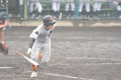 116065613e0ea71569fab42271cd139c