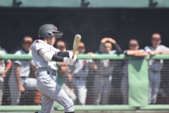 4115df1b36a2a20b1d961e98d8f03d6e