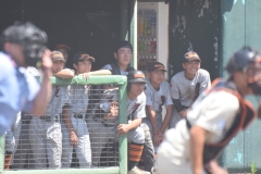 a8597f74153c269802f347ca1507af14