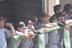 c33518e4dea9902368d6d116fffb2049