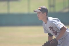 c6aa9a19d5a4ceed94cda5b67f82cd59