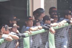 e1fab512f6308229eac8bb1451877976