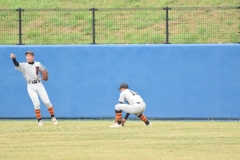 d071a999a64dcca6c26492478d5fcdac