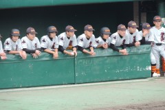 281a40a516bf4ef085bc28c5b7c40353