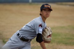 d06d799a3d2686cb1197ce38c1f6df3f