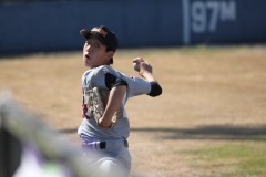 205950a5d368ac726397aaa80aae73d3