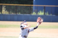 7b0228c551f1bde42b4a23aa8eb27bde