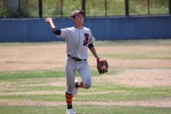 c36ff29312978c5c855487ad35be9c52