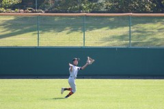 IMG_4594